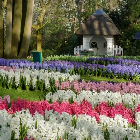 Molecaten Park Noordduinen 3* 카트베이크안제이