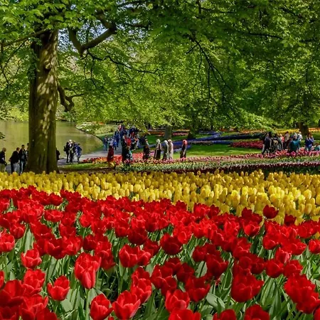 Molecaten Park Noordduinen