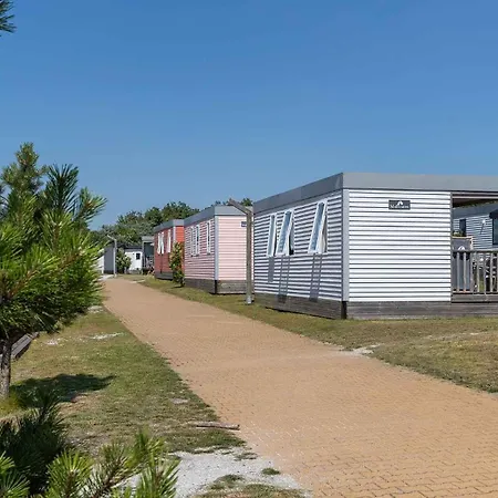 Holiday park Molecaten Park Noordduinen Katwijk aan Zee