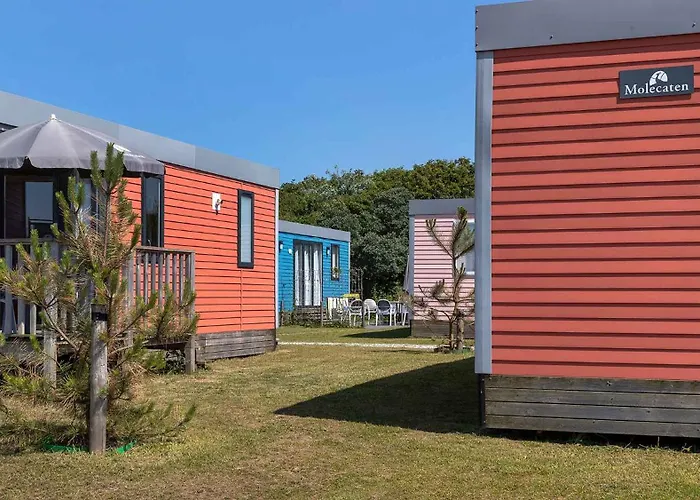 Molecaten Park Noordduinen Vakantiepark Katwijk aan Zee