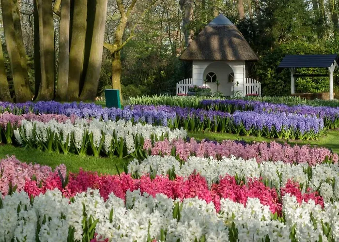 Molecaten Park Noordduinen 3* Katwijk aan Zee