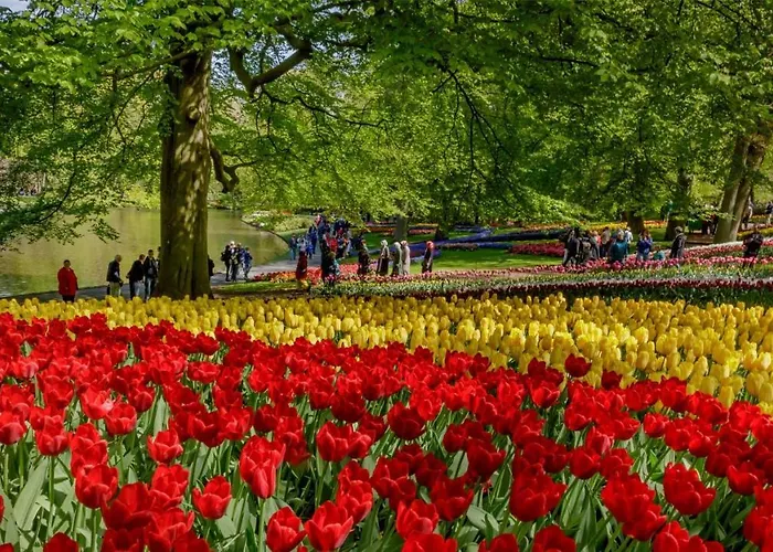 Molecaten Park Noordduinen